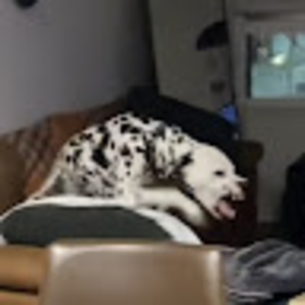 Meet your Posher, Cheri